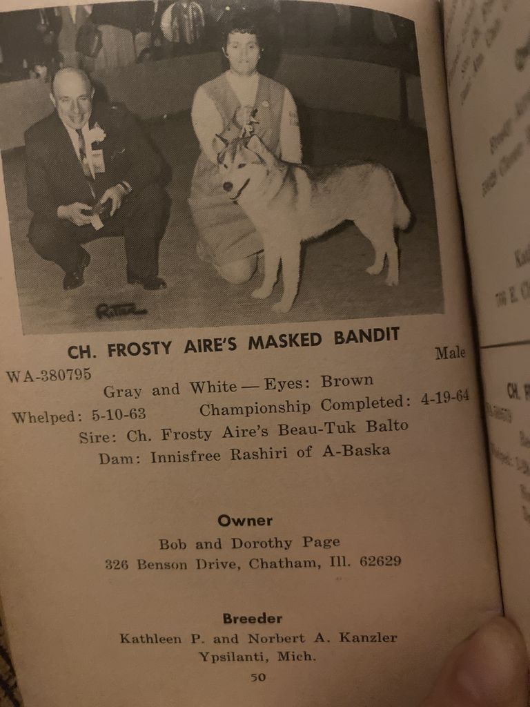 Photo of Frosty Aire’s Masked Bandit