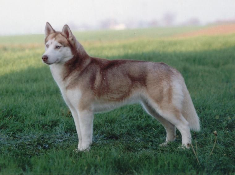 Photo of Sierra Firesun O’Sea Son