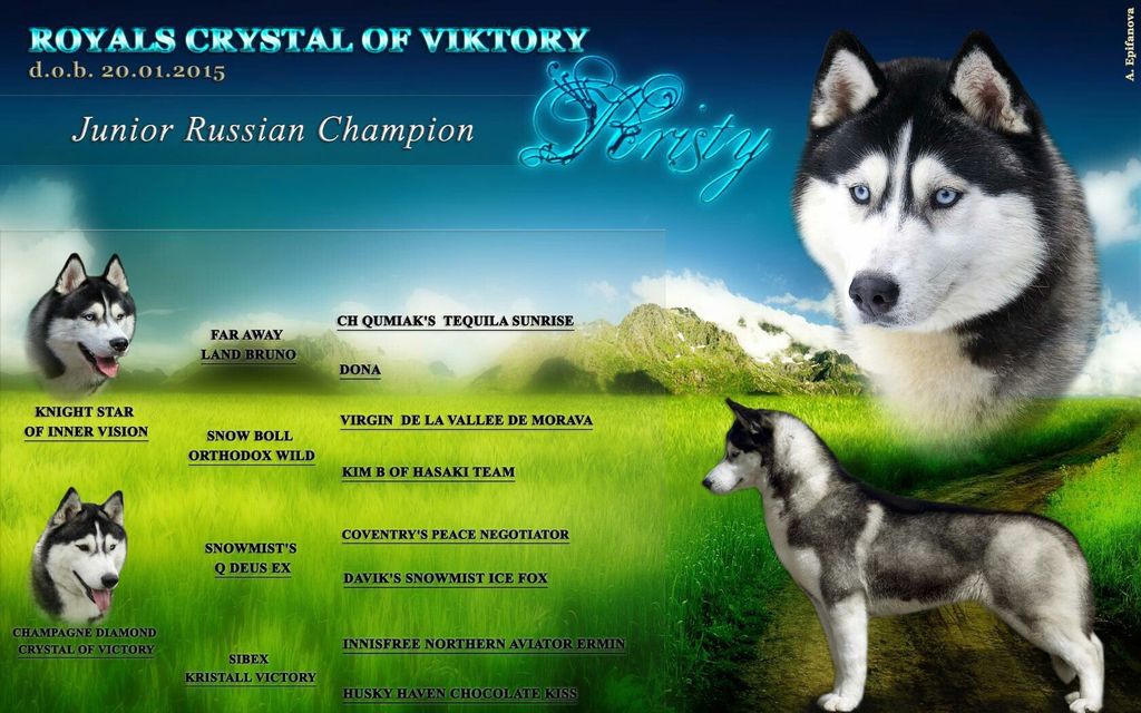 Photo of Royals Crystal of Victory