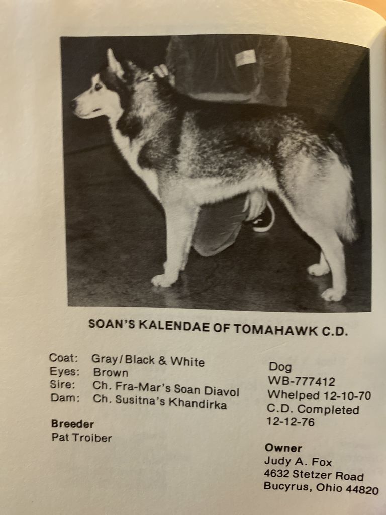 Photo of Soan’s Kalendae of Tomahawk