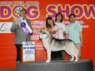 Photo of Foxfire The Ringmaster