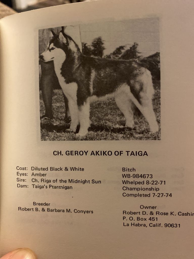 Photo of Geroy Akiko of Taiga
