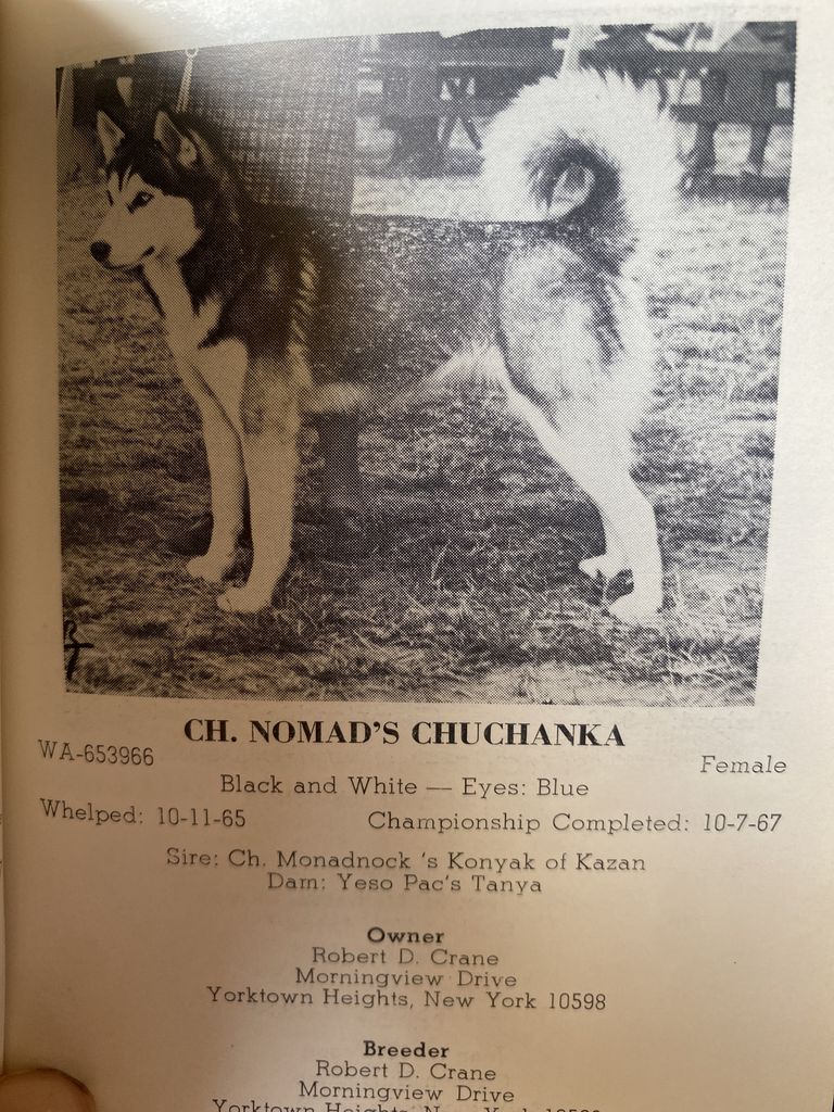 Photo of Nomad’s chuchanka