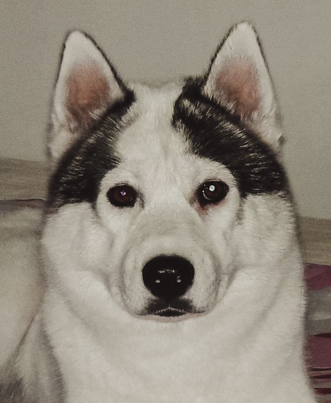Photo of Charlotte Of Hisaris Land