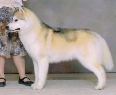 Photo of Aurorabalto’s Inthe Nic Oftime