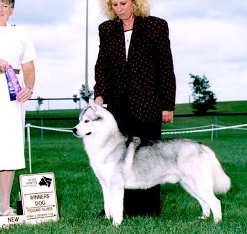 Photo of Kortar’s Katchalittlemagic