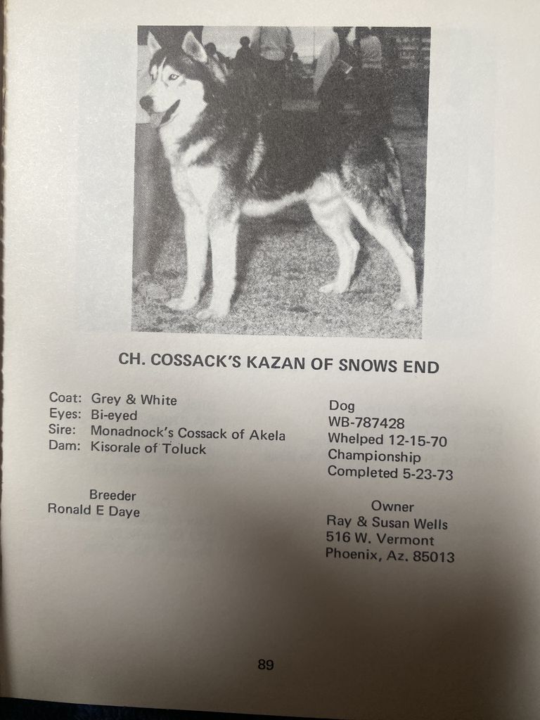 Photo of Cossack’s Kazan Of Snow’s End