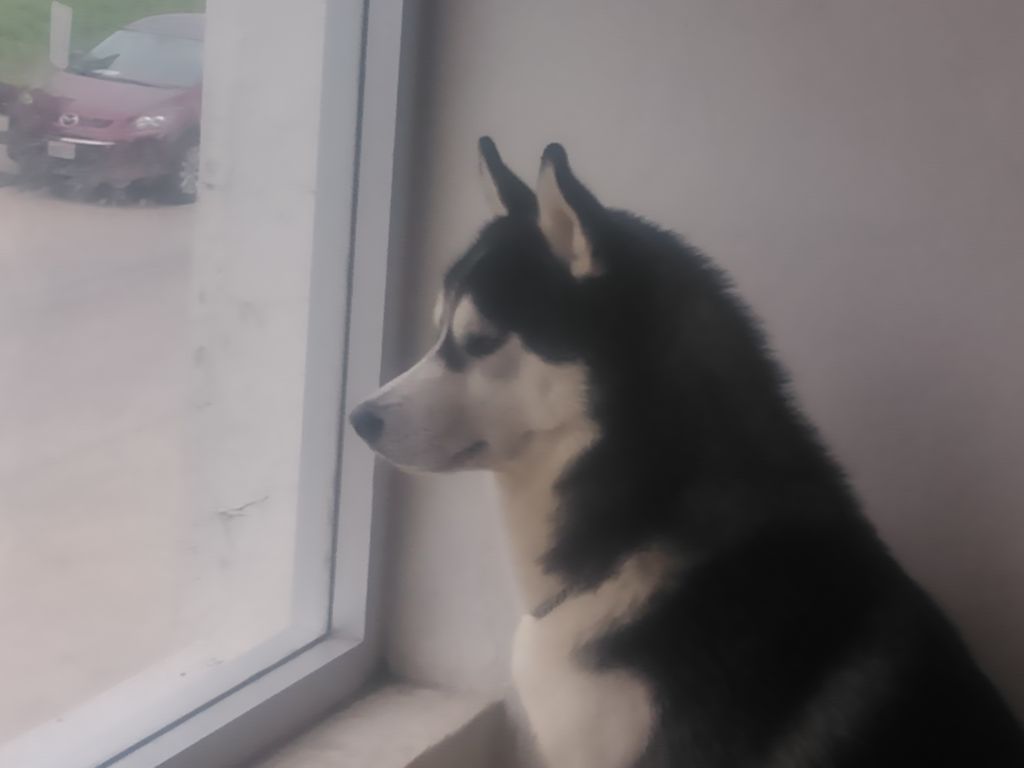 Photo of BigBoy (Mota)