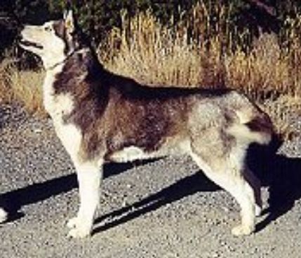Photo of Timeless of the Midnight Sun