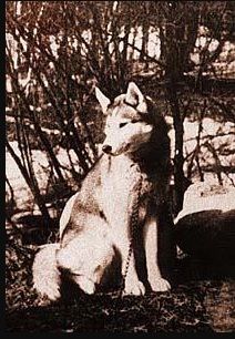 Photo of Vanka Of Seppala III