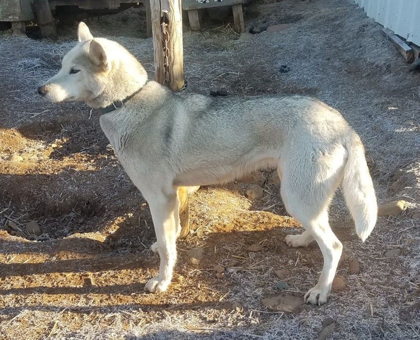 Photo of Jedeye Ada of Manitou