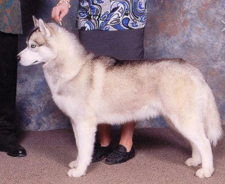 Photo of Debalys Quicksilver