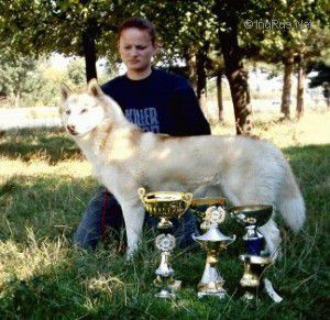 Photo of Blazing Starr Of Siberian Lady