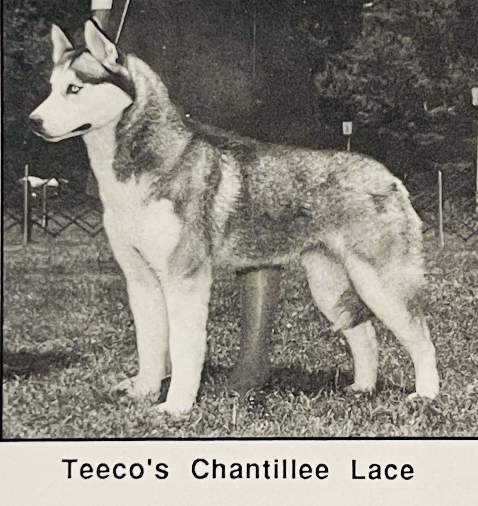 Photo of Teeco’s Chan Tillee Lace