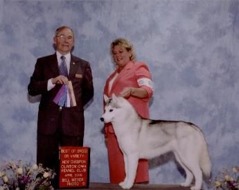 Photo of Playmor’s Gone In Sixty Seconds