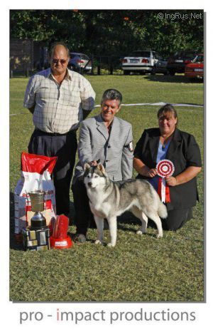 Photo of Foxfire Charlies Angel