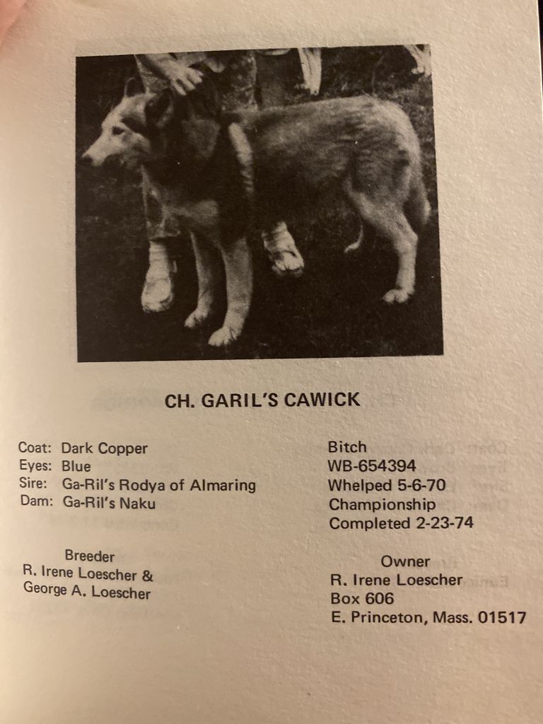 Photo of Garil’s Cawick