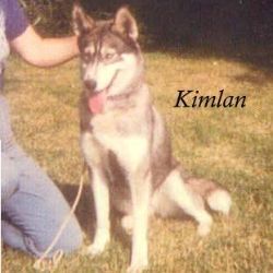 Photo of Kimlan’s Christmas Holly
