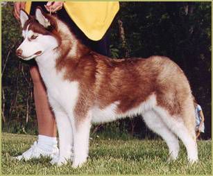 Photo of Trillium Blue’s Daisy Duke