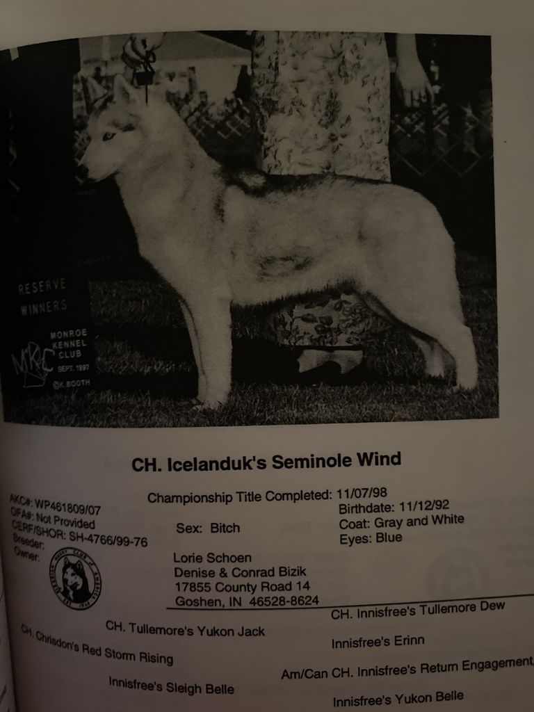 Photo of Icelanduk’s Seminole Wind