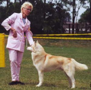 Photo of My Sweet Lord of Bakerlake