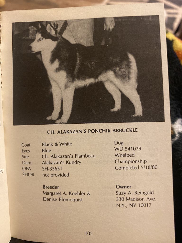 Photo of Alakazan’s Ponchik Arbuckle
