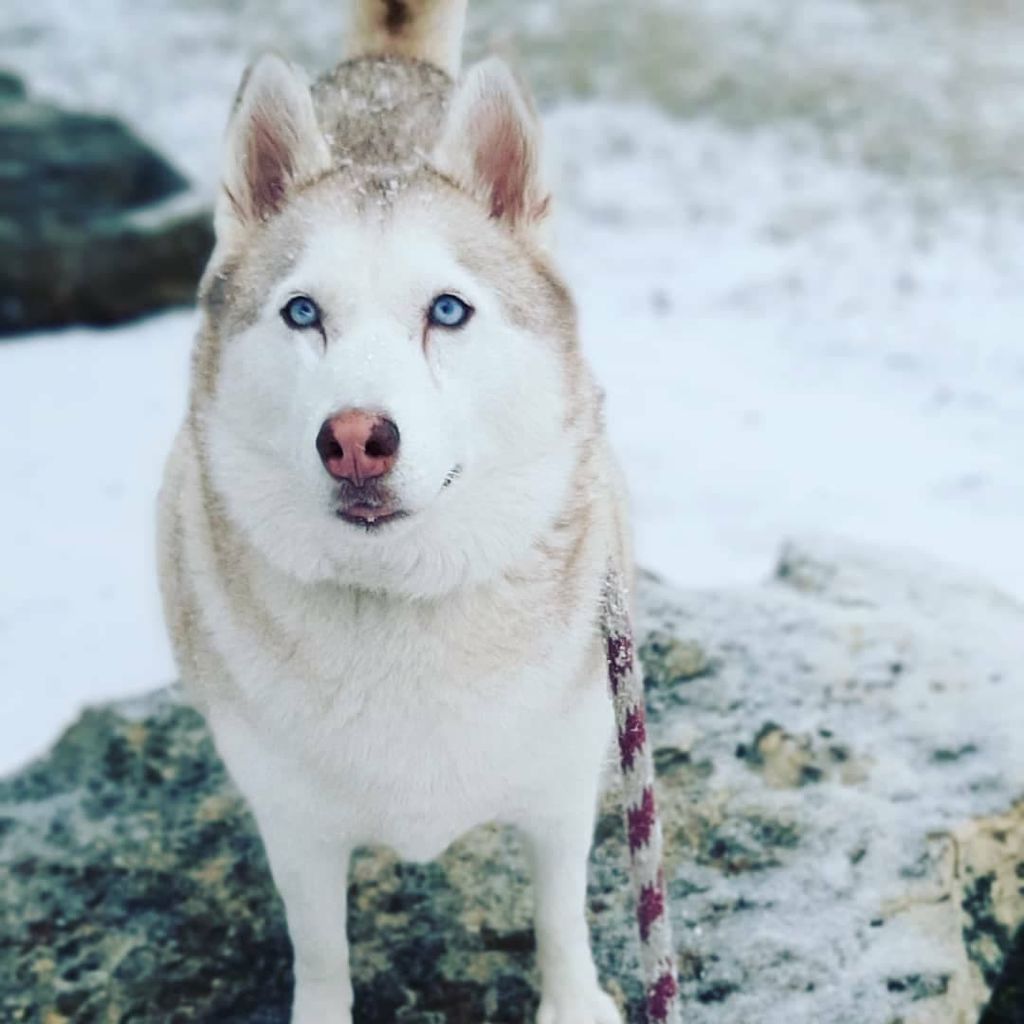 Photo of Keisha (Suarez)