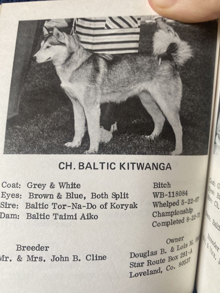 Photo of Baltic Kitwanga