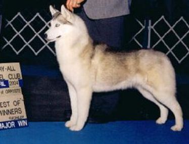 Photo of Crystal Spirit of the Midnight Sun