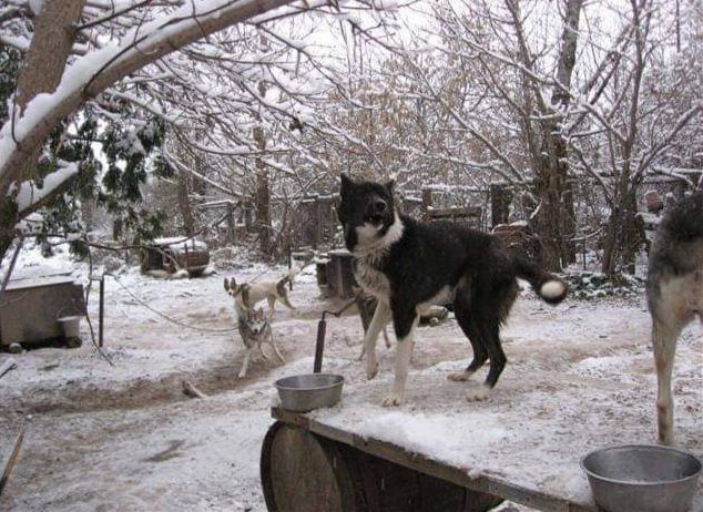 Photo of Trailbound’s Brie