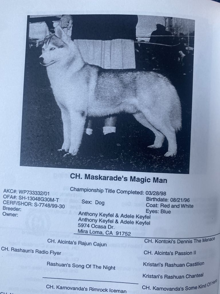 Photo of Maskarade’s The Magic Man