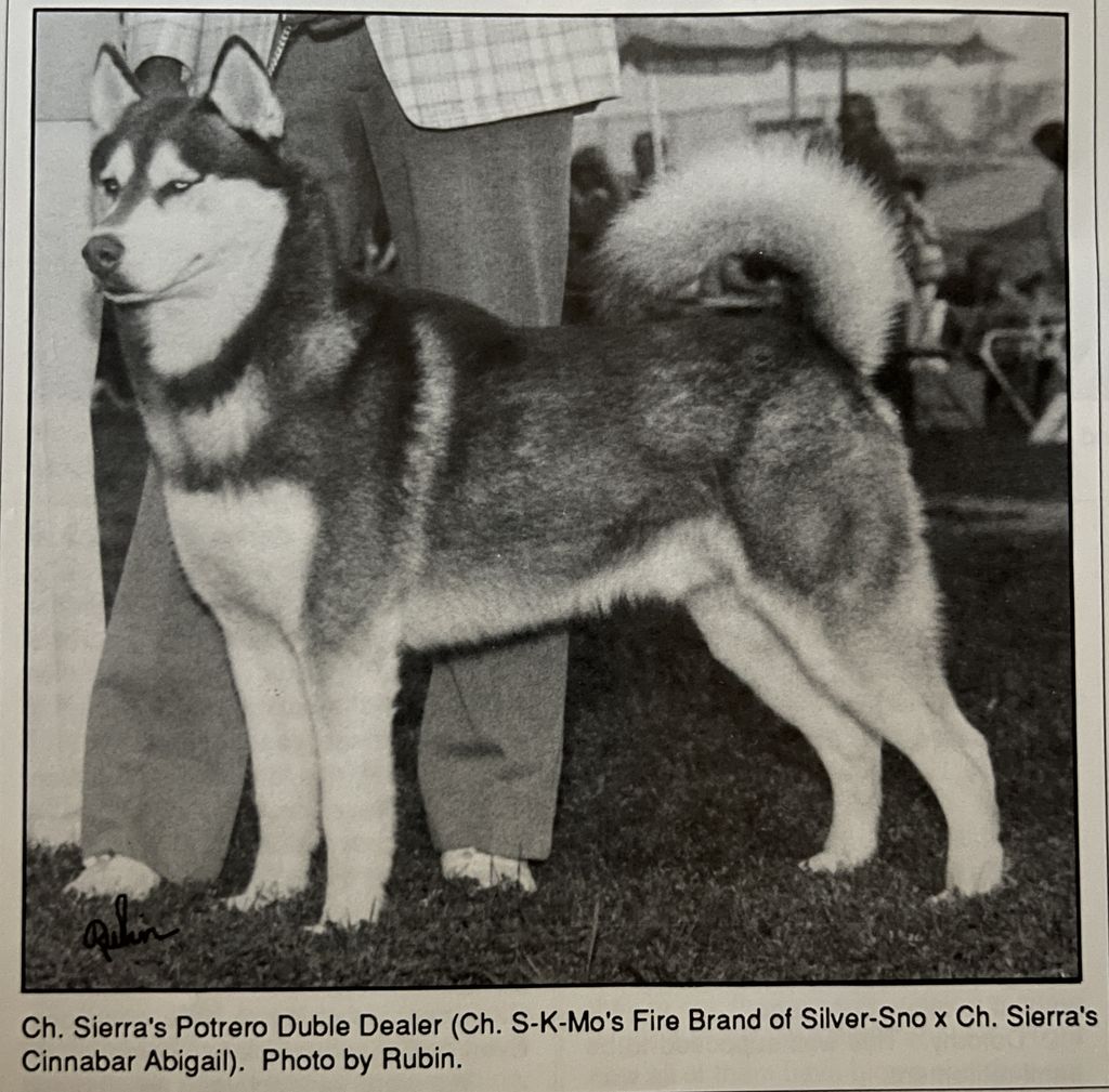 Photo of Sierra’s Potrero Duble Dealer