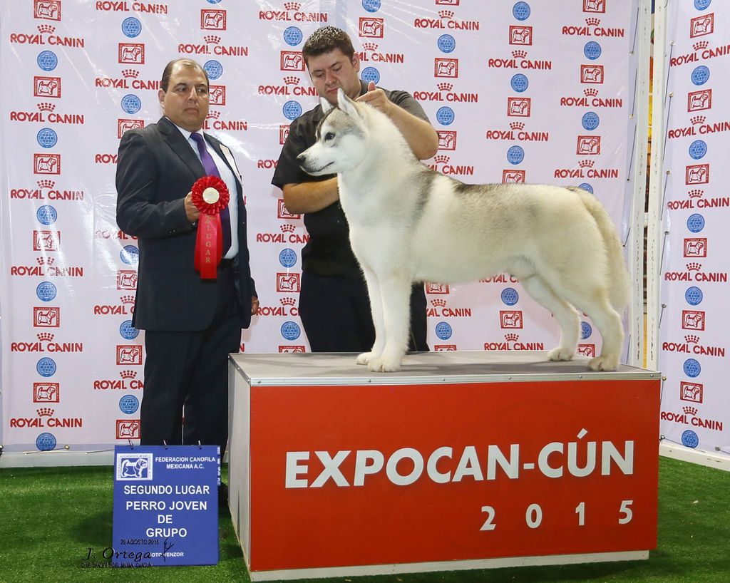 Photo of Legend Continues ScottishCofee
