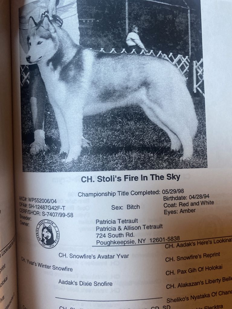 Photo of Stoli’s Fire In The Sky
