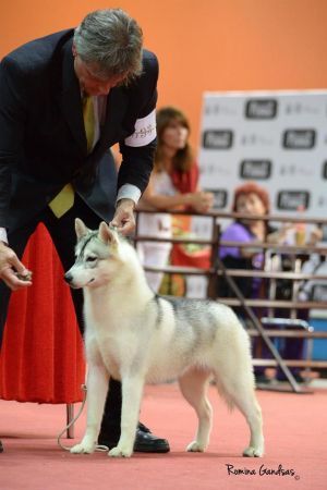 Photo of Foxfire Anais Anais