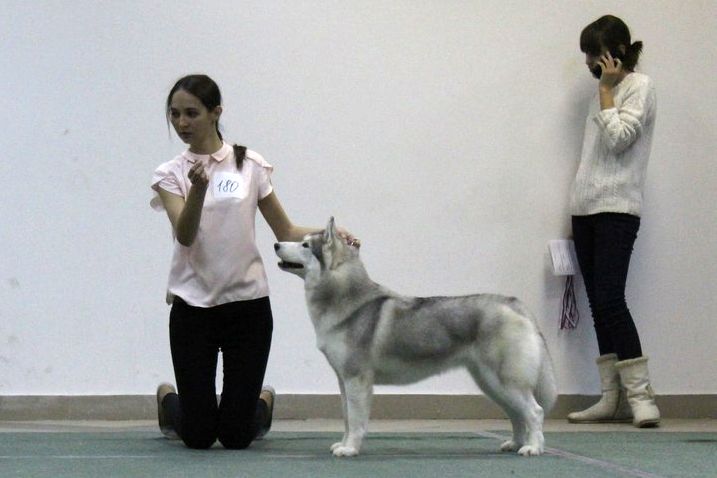 Photo of Siberian Miracle Kumiko Sayuri