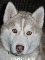 Photo of Kryska’s Kiana Aria