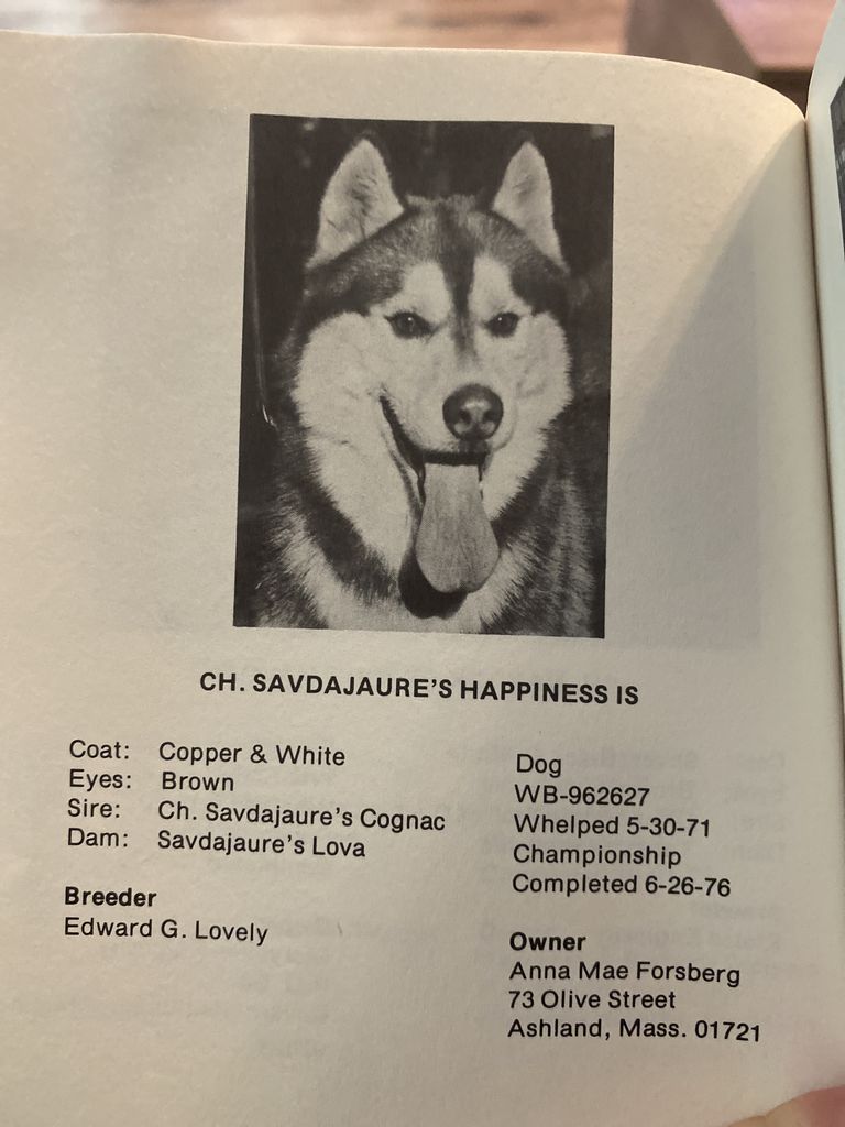 Photo of Savdajaure’s Happiness Is