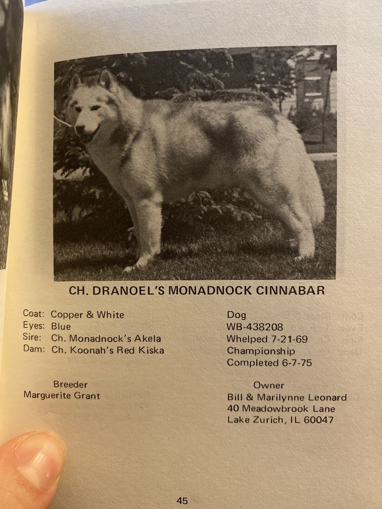 Photo of Dra Noel’s Monadnock Cinnabar