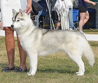 Photo of Kalara’s Luna Eclipse
