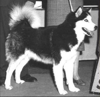 Photo of Monadnock’s King