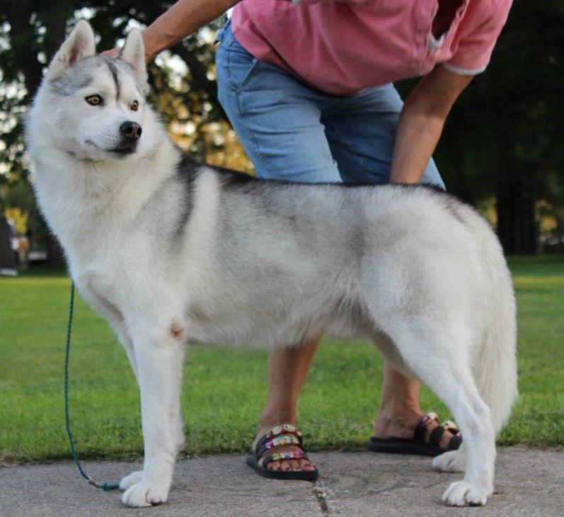 Photo of Nanook’s Trigger The Huricane
