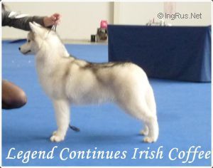 Photo of Legend Continues Irish Coffe