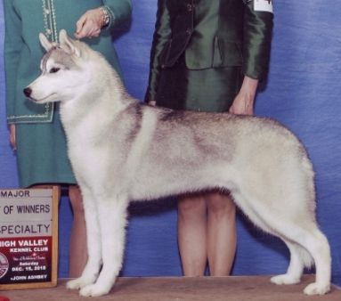 Photo of Snocrest’s Do You Believe in Magic?
