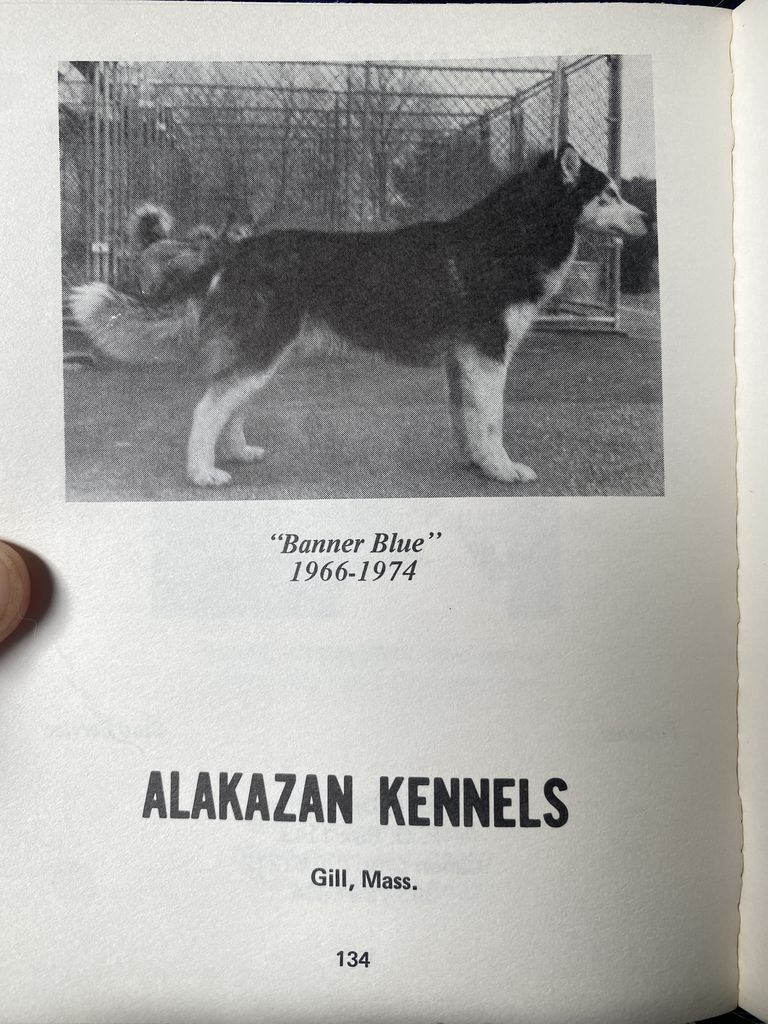 Photo of Alakazan’s Banner Blue