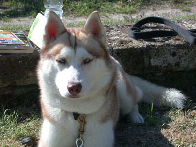 Photo of Winalmik's Vanilla Sky