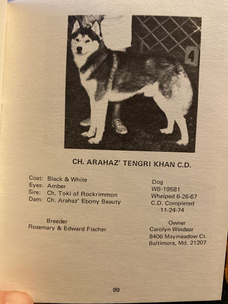 Photo of Arahaz’ Tengri Khan