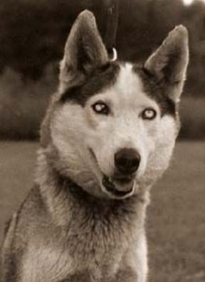 Photo of Duska Of Seppala