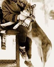 Photo of Bonzo