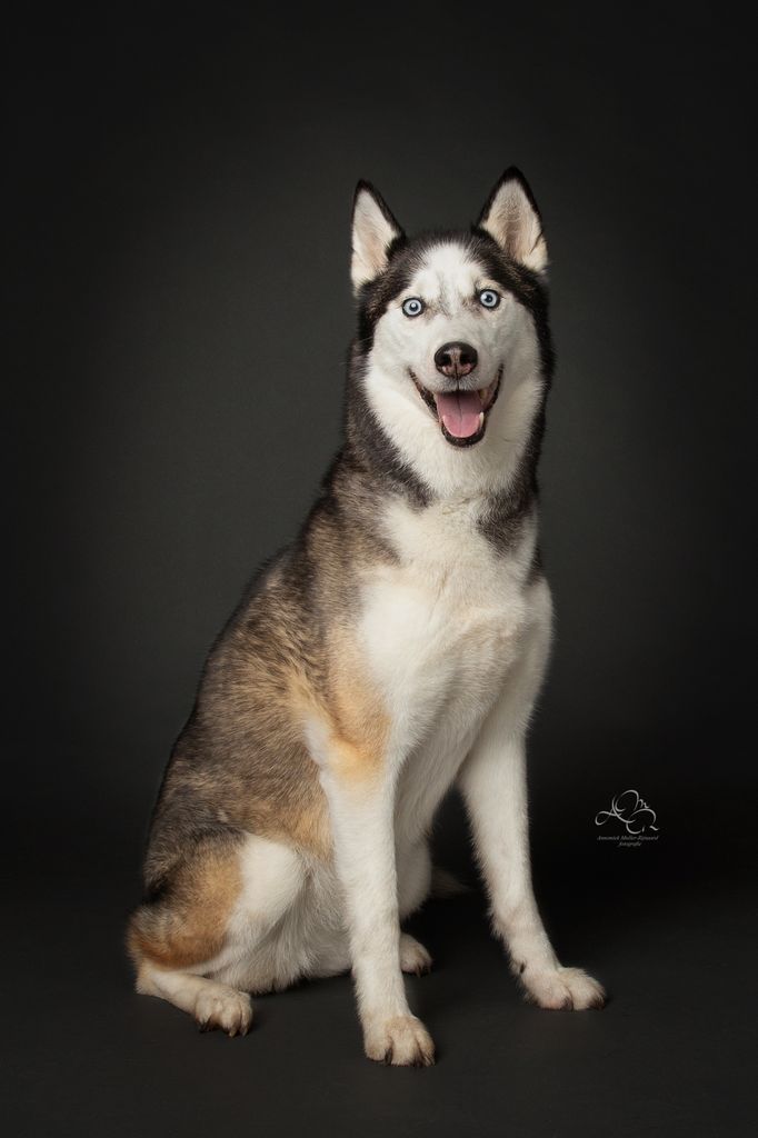 Photo of Sissi From The Touch Of Speed